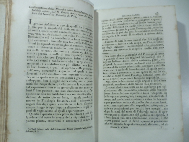 Continuazione delle ricerche sulla fecondazione della Salvinia natans  del D. Pietro Savi...(Stralcio da: Nuovo giornale de' letterati. N. 73. 1834)